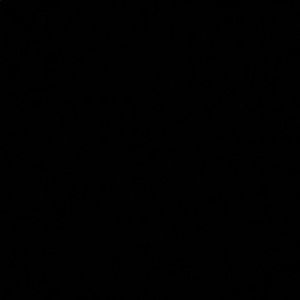 Meet your Posher, Kali